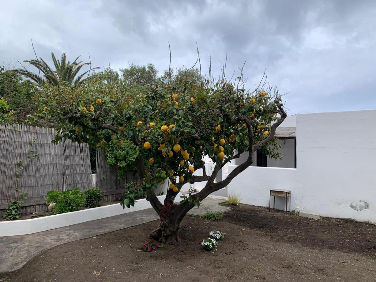 Casa Cristian Stromboli Daire Dış mekan fotoğraf
